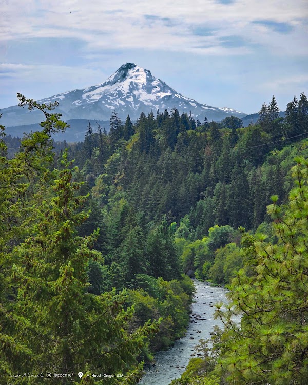 Mt Hood view point