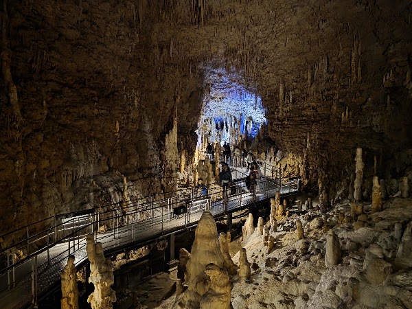 Okinawa World 4