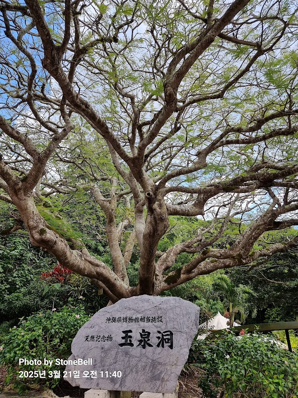 Okinawa World 2