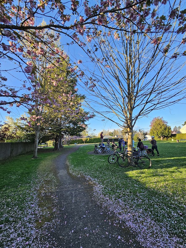 Cherry Blossom Park 5