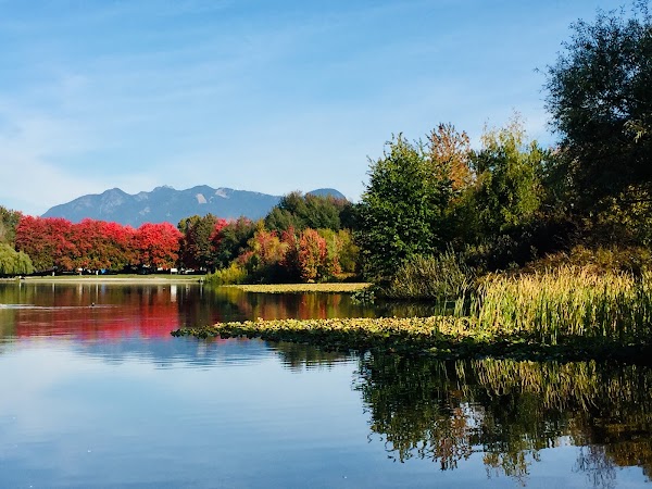 Trout Lake