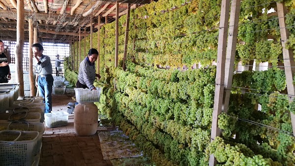 Turpan Grape Valley Ecology Tourist Center 2