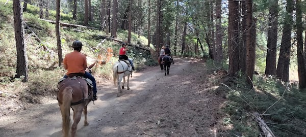 Cook's Meadow Loop 3