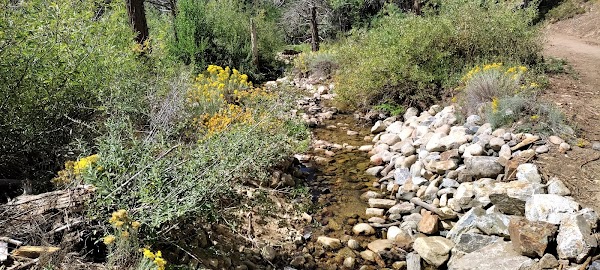 Cook's Meadow Loop 2