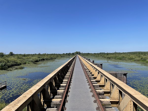 Moerputten Bridge 1