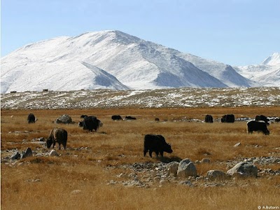 Tajikistan