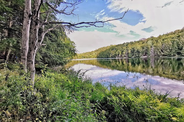 Trail 36