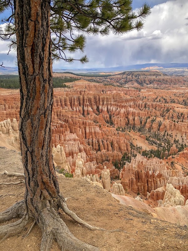Bryce Canyon National Park Sunrise Point 4