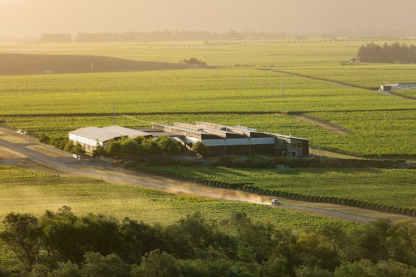 Spy Valley Wines | Winery + Tasting Room 1