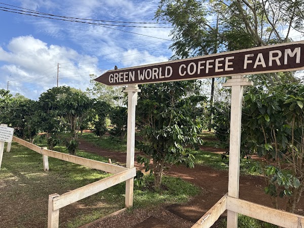 Green World Coffee Farm 4
