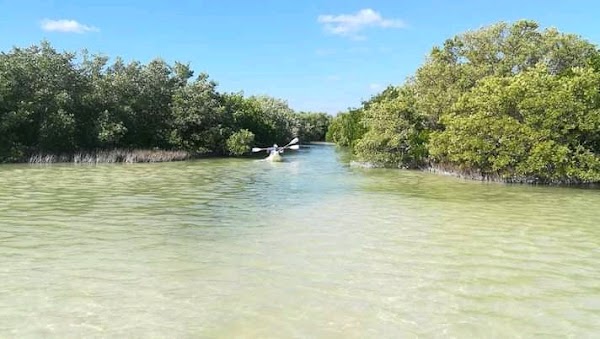 BOAT TOUR TO PINK LAKE AND FLAMINGOS