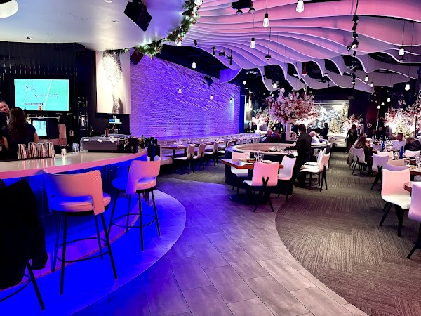 STK Steakhouse 4