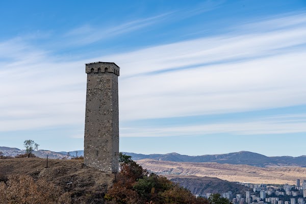 Svan Tower 5