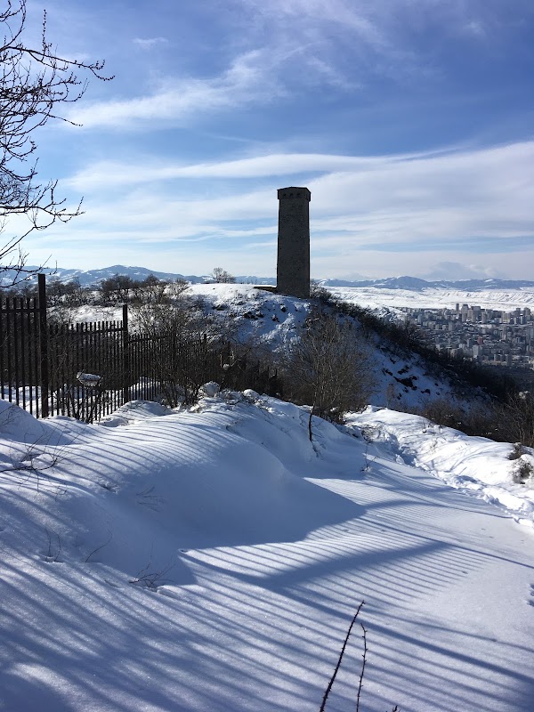 Svan Tower 2
