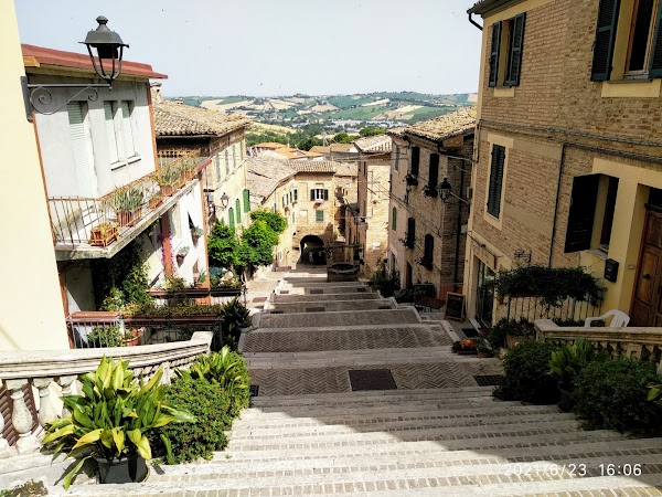 Le Marche  56