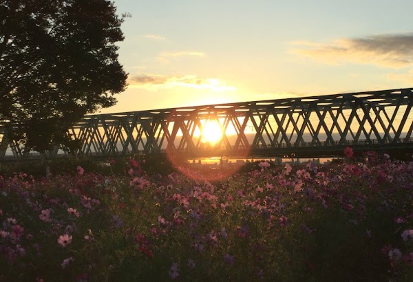 Arakawa River 4