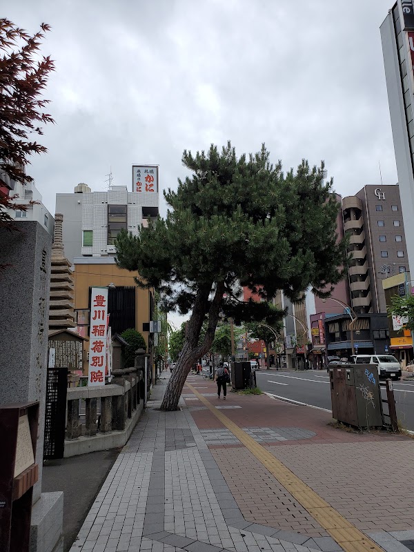 Susukino Street 3