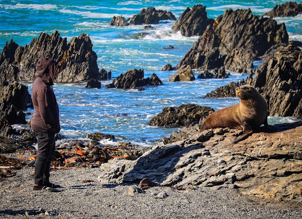Pariwhero/Red Rocks 3