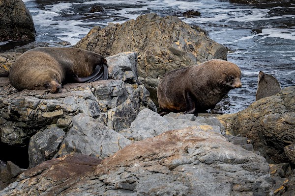 Pariwhero/Red Rocks 2