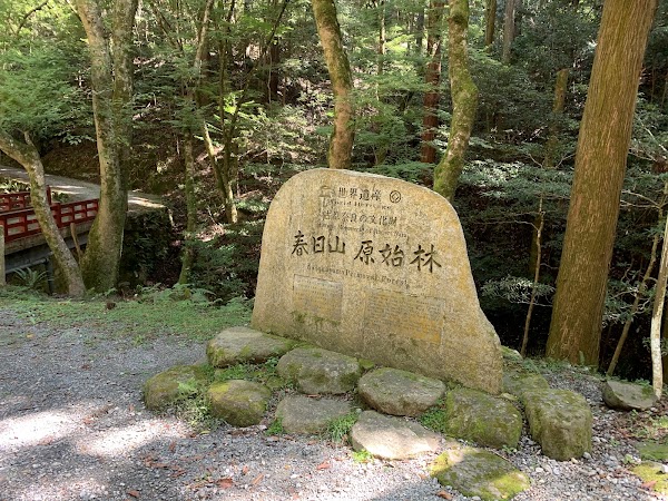 Mt. Kasuga Primeval Forest 4