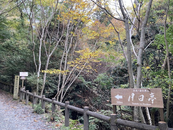 Mt. Kasuga Primeval Forest 2