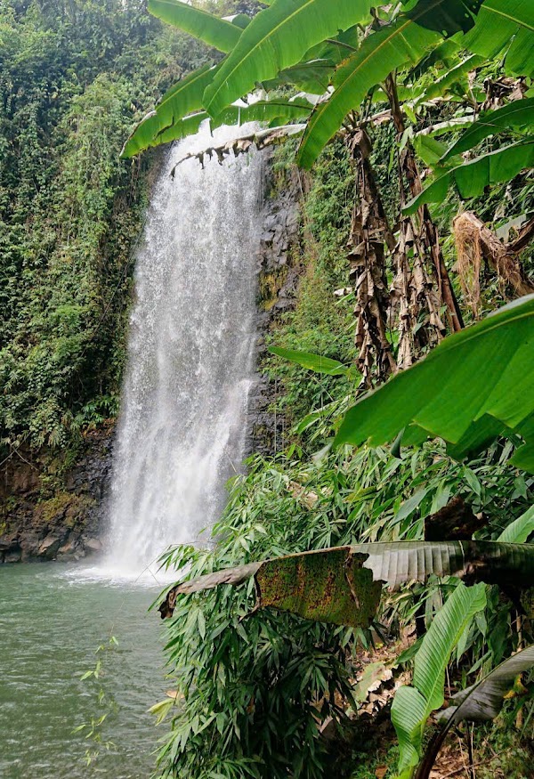 Du lịch Măng Đen 3