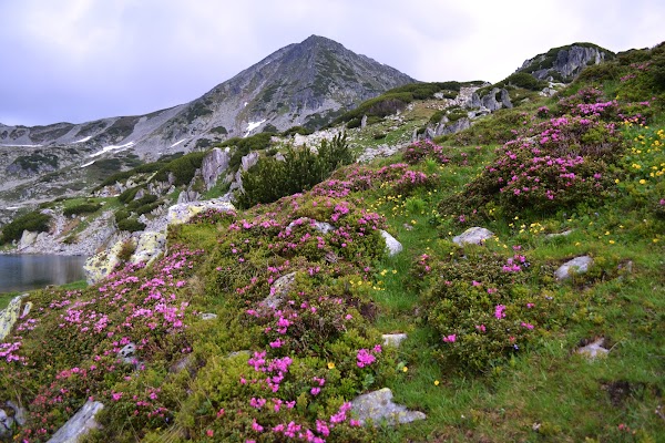 "Retezat" National Park