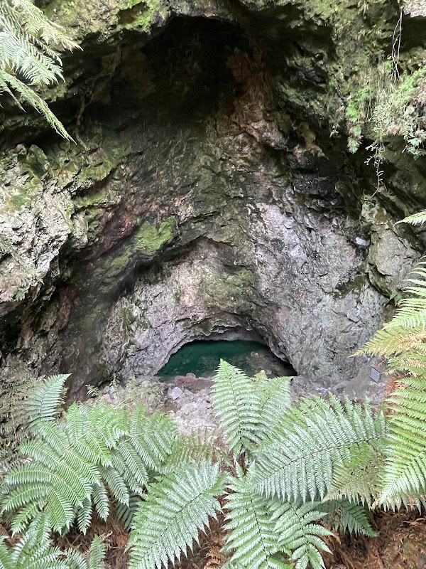 Orakei Korako 4