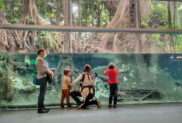 Museu de la Ciència CosmoCaixa 5