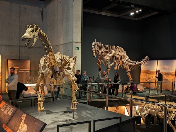 Museu de la Ciència CosmoCaixa 4