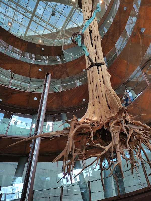 Museu de la Ciència CosmoCaixa 3