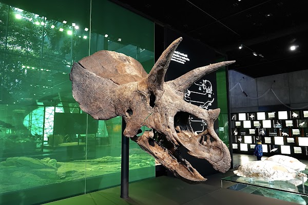 Museu de la Ciència CosmoCaixa 2