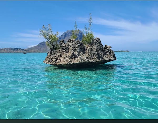 Crystal Rock