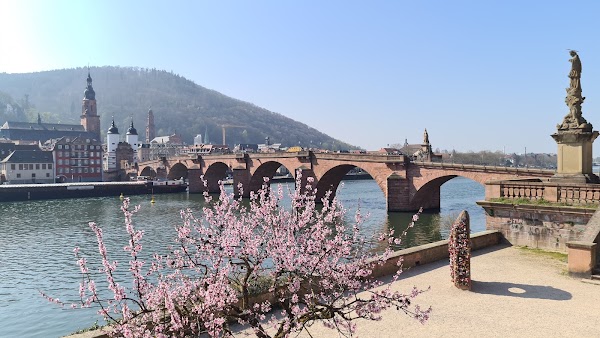 Heidelberg 4