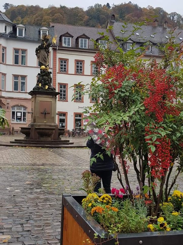 Heidelberg 2