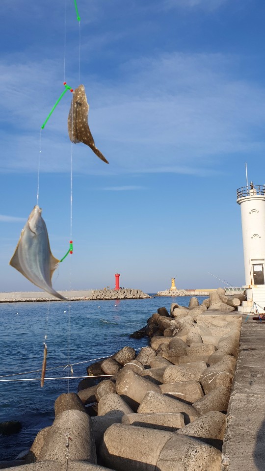 Jumunjin Seawall 2