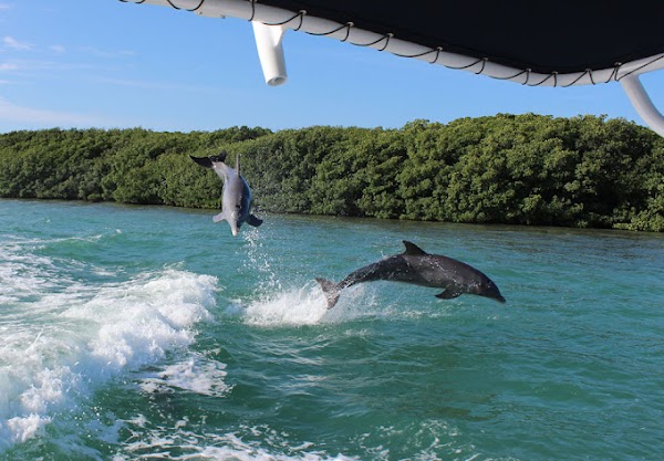 KeyZ Charters
