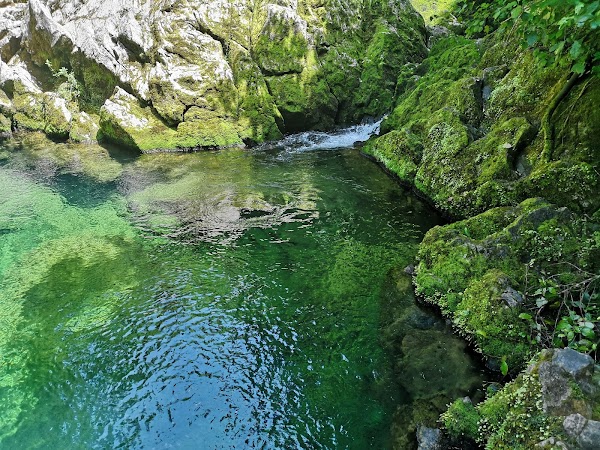 Riuwaka Resurgence 5