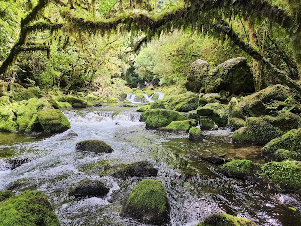 Riuwaka Resurgence 2