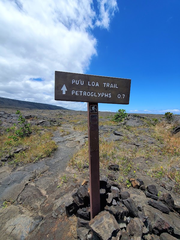Pu‘uloa Petroglyphs 5
