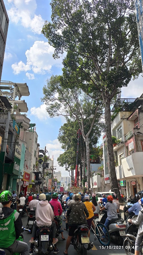 Ho Chi Minh 100