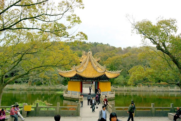 Putuo Mountain 5