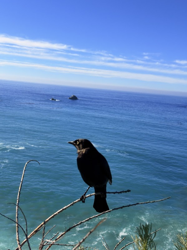 McWay Falls View Point 4
