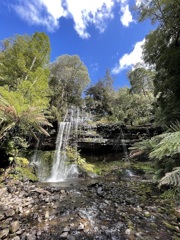 Mount Field National Park 1