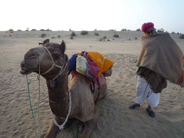 Khuri Dunes Camel Safari 1