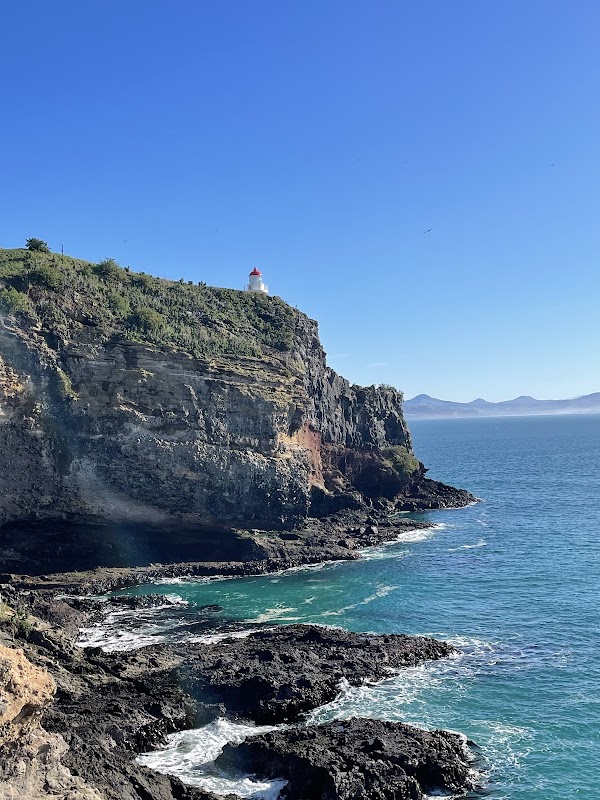 Waiwhakaheke Seabird Lookout