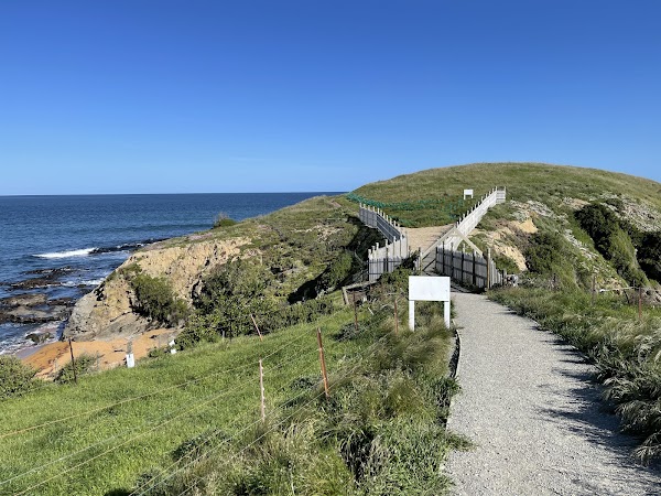 Katiki Point Lighthouse 5