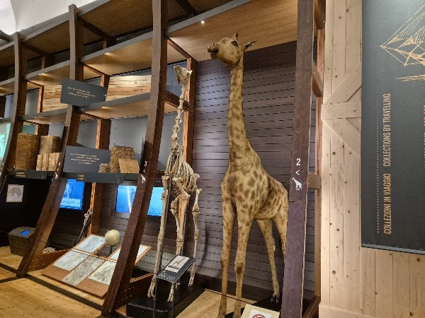 Museo Regionale di Scienze Naturali 3
