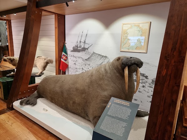 Museo Regionale di Scienze Naturali 2