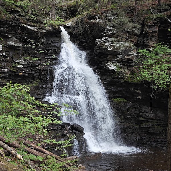 Ricketts Glen Falls Trail 5